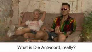 News24 interviews Die Antwoord [upl. by Keary866]