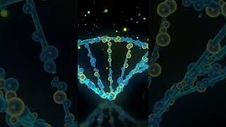 The Importance of DNA Strands viral viralshorts viralshot dna biology trendingshorts [upl. by Varney161]