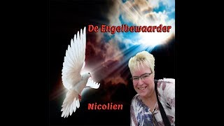 De engelbewaarder  Nicolien VenekekampBottema [upl. by Shanna5]