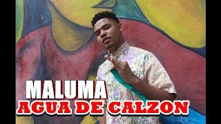 Maluma  Corazón ft Nego do Borel  Parodia  Paulito Castellon TV [upl. by Greenebaum]