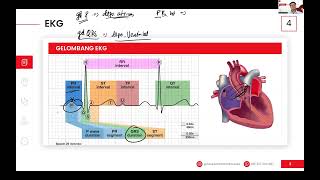 Cardio Part 1 November 2023 [upl. by Anayt617]