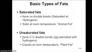 FatsLipids Lecture [upl. by Ahrendt]