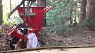 Harbor freight 6 12 HP wood chipper [upl. by Aihsakal52]