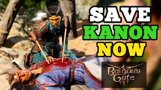 Finally found a way to save Kanon in Emerald Grove Arka Baldurs Gate 3 [upl. by Krauss]