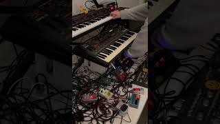 Live with Quasimidi Sirius Elektron Digitakt Behringer TD3 Jomox Mbase amp more 9 techno [upl. by Frederik641]