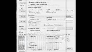 Nuvoton NuMicro ICP Tool [upl. by Moody]