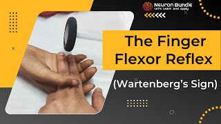 Wartenberg’s sign  Finger flexor reflex  babinski  upper limb reflex neurology medschool [upl. by Ynnej]