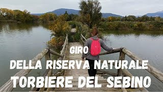 Giro della Riserva Naturale Torbiere del Sebino da Provaglio dIseo BS birdwatching hiking [upl. by Akinimod218]