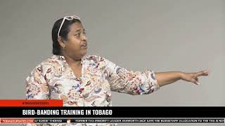 BIRD BANDING TRAINING IN TOBAGO [upl. by Dari]