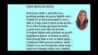 GRM BIJELIH RUŽA Mirjana K B [upl. by Eanrahs382]