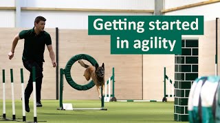 How to get started in Dog Agility  Dog Tips and Tricks [upl. by Soloma508]