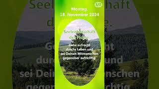 20241118 Seelenbotschaf  Tagesmantra  Fichte treefluencer körperseelegeist merikinbynature [upl. by Einnim81]