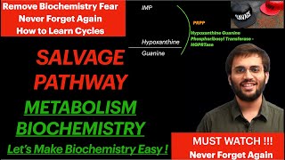 Salvage Pathway  Purine Synthesis Biochemistry Video [upl. by Artap329]