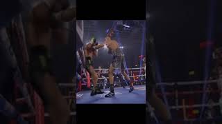 Teofimo Lopez 🥊 Best Knockouts 🔥 Boxing TeofimoLopez JoshTaylor [upl. by Nedac]