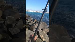 Rock fishing in San Pedro fishingtechniques fishingvideo fishing fishingmethods fishinglife [upl. by Ultann60]