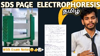 SDS PAGEtamilpolyacrylamide gel electrophoresisNotesDefinitionprincipleProcedureworkinguses [upl. by Pernell]