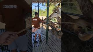 Baluarte Zoo  Hand Feeding [upl. by Dietz]