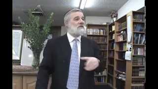 The 13 Principles of Judaism  Reincarnation Supplement to Principle 11 [upl. by Chapland]