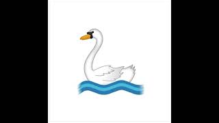 The Swan from quotThe Carnival of Animalsquot piano accompaniment in G for cello violin or flute [upl. by Lihas]