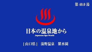 日本の温泉地から 第400湯 湯野温泉 紫水園 山口県周南市 202406 [upl. by Hadrian]