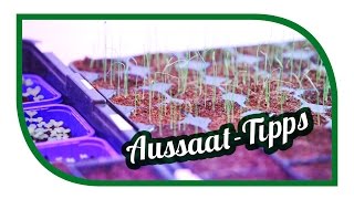 Aussaat amp Gartentipps im Januar 🌱 Jungpflanzenanzucht im Januar 🌱 Selbstversorgung [upl. by Avaria]