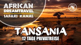 Tansania Privat Safari 🤯 Serengeti NP  Ngorongoro  Tarangire NP  Mkomazi NP  Tipps und Infos [upl. by Akcinahs]