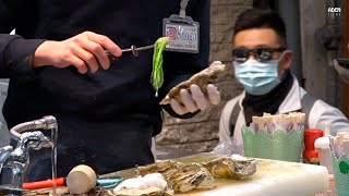 Japanese Street Food  Giant Oysters [upl. by Shevlo]