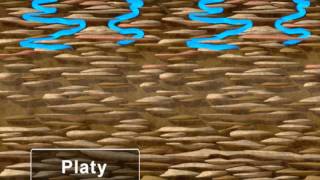 Water Movement in Soil [upl. by Durman642]