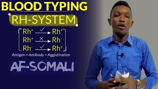 BIOLOGY  BLOOD TYPING  RHSYSTEM  AFSOMALI [upl. by Elbertine]