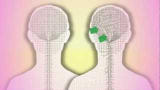 CranioSacral Therapy What is it How does it work by Tad Wanveer [upl. by Inanaup668]