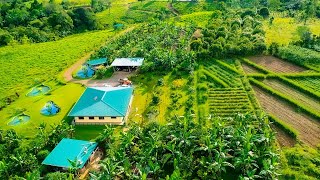 A Costa Rican Homesteader’s Dream AquaCulture Food Forest Kitchen Exotic Fruit Jungles  More [upl. by Kaufman]