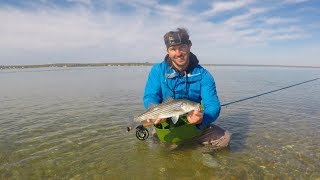 Fly Fishing Cape Cod For Striped Bass 101 [upl. by Lilithe628]