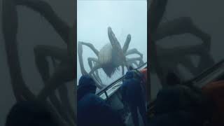 massive monster sighted at pacific pacificocean deepsea deepocean pacific mythicalcreatures ai [upl. by Roxi109]