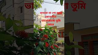 বলবো না গো আর কোন দিনshortvideoviralsong [upl. by Jefferey]