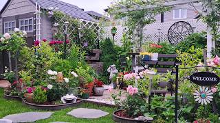 Tiny Backyard Garden Tour Plants and Flowers garden gardening gardentour plants flowers new [upl. by Waldos]