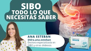 🔵 SIBO y COLON IRRITABLE 🦠 Con la doctora especialista en SIBO Ana Esteban [upl. by Santa]