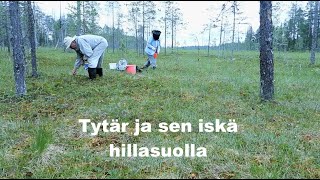 TytaÌˆr ja sen iskaÌˆ hillasuolla [upl. by Ettenahc]