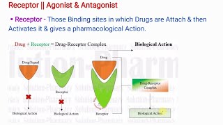 Receptor  Agonist amp Antagonist  Types of Antagonist Pharmacology [upl. by Tema]