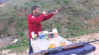 ATA ARMS VENZA TEST [upl. by Hertha]