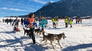 Hundeschlitten EM Inzell 2017 Bayern DJI Osmo 4k Schlittenhunde [upl. by Akemit531]