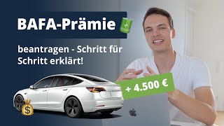 EAuto BAFA Antrag richtig ausfüllen  Schritt für Schritt erklärt 2023 [upl. by Kay436]