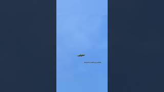 Hawk gliding along kansas carryonmywaywardson [upl. by Alaj]