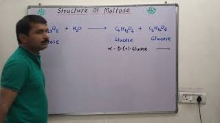 Structure of maltose [upl. by Oicnecserc]