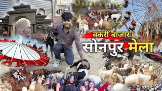 बकरी बाजार सोनपुर मेला 2024। Goats market sonpur mela 2024 sonpurmela [upl. by Mirielle]