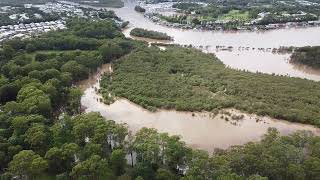 Coomera River flooding in Coomera 3 Gold Coast Australia 28 Feb 2022 [upl. by Haidej]