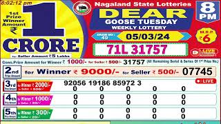 Dear Goose Tuesday Weekly Lottery 8PM 05032024 [upl. by Borchers708]