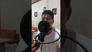 Ikaw Ang Ligaya Ko by Ric Manrique  Song cover Frank Romanos [upl. by Nyltyak213]