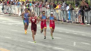 2015 ITU World Triathlon Chicago  Elite Mens Highlights [upl. by Rexfourd]