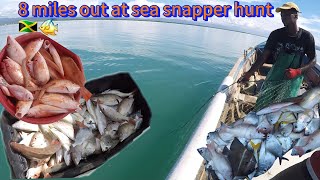 8 miles out at sea🇯🇲🔥  snapper hunt  must watch [upl. by Levine]