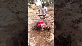 HONDA FJ500 POWER WEEDER IN WETLANDహోండా fj500 పవర్ విడర్ బురదలో [upl. by Archle]